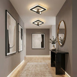 2 in 1 Ceiling Light view 2