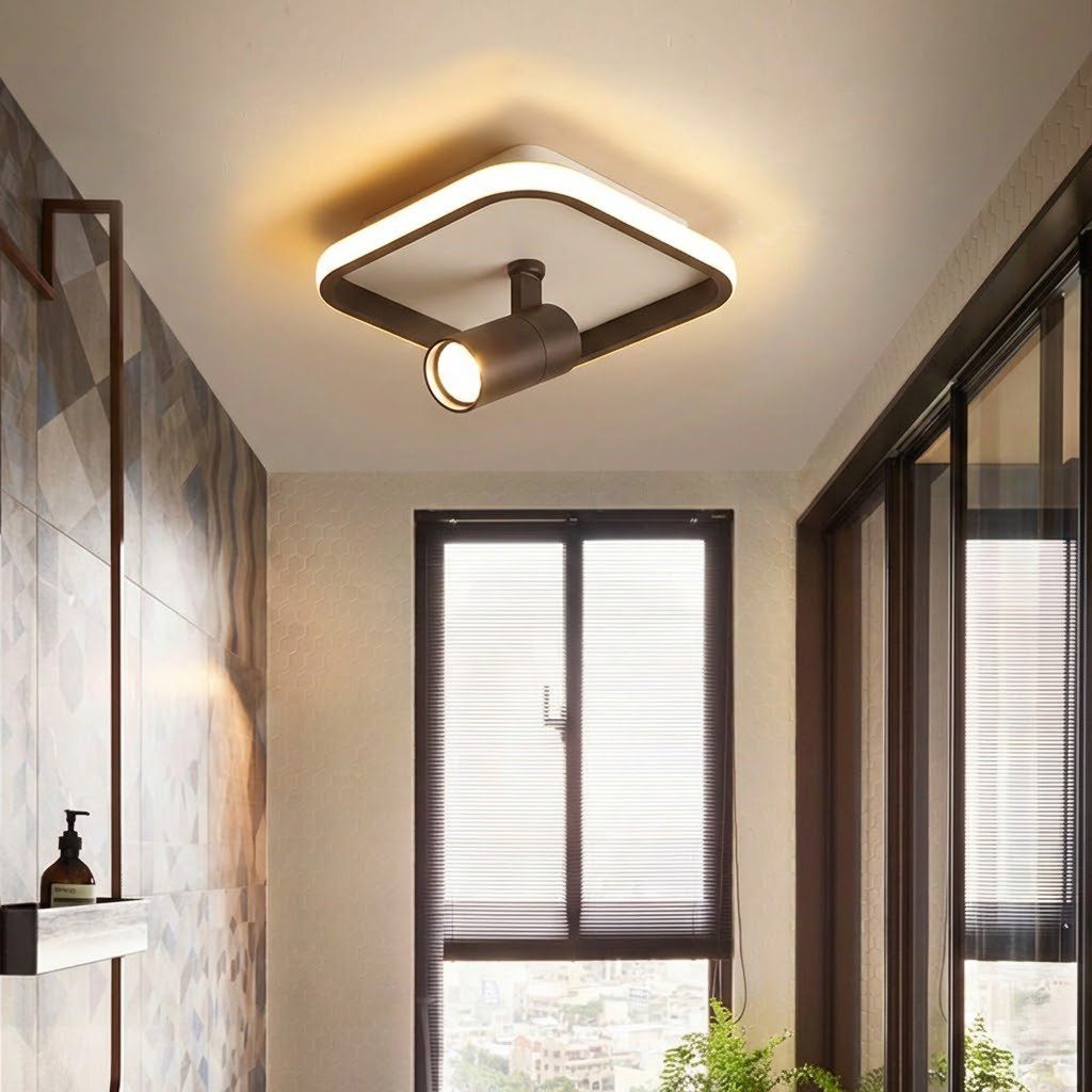 2 in 1 Ceiling Light view 3