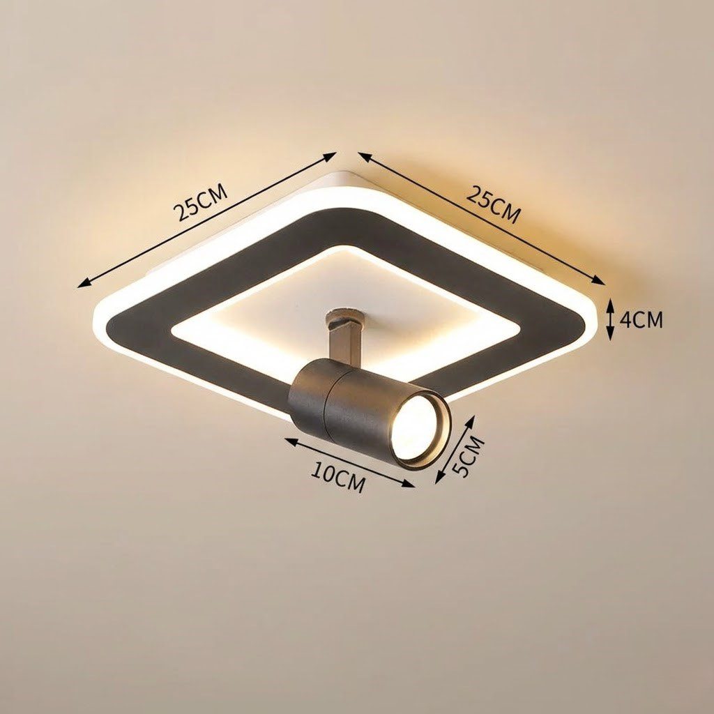 2 in 1 Ceiling Light view 5