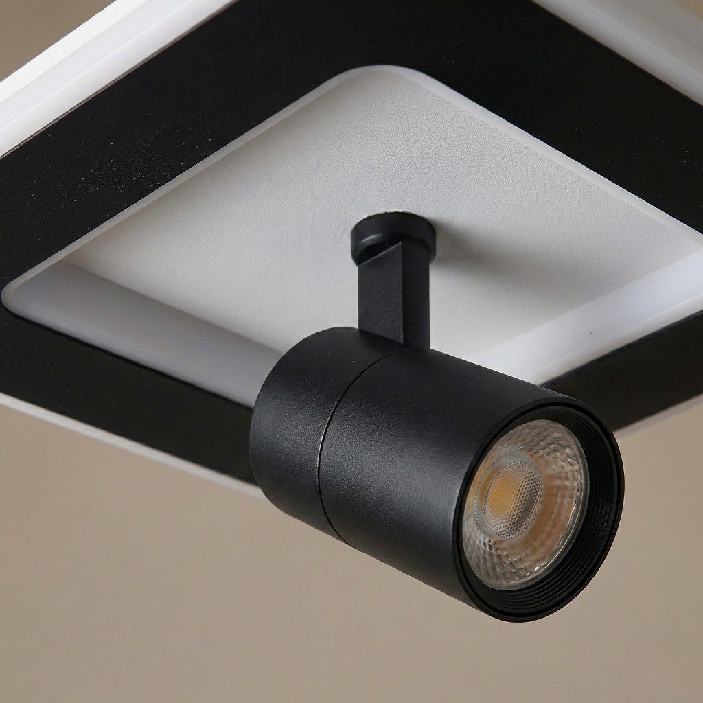 2 in 1 Ceiling Light view 7