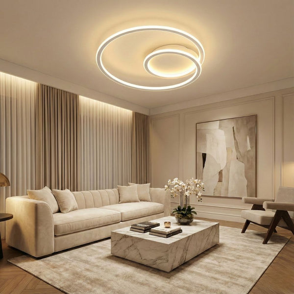 2 Ring Ceiling Light