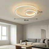 2 Ring Ceiling Light view 10