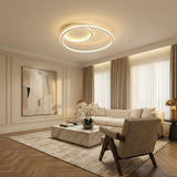 2 Ring Ceiling Light view 4