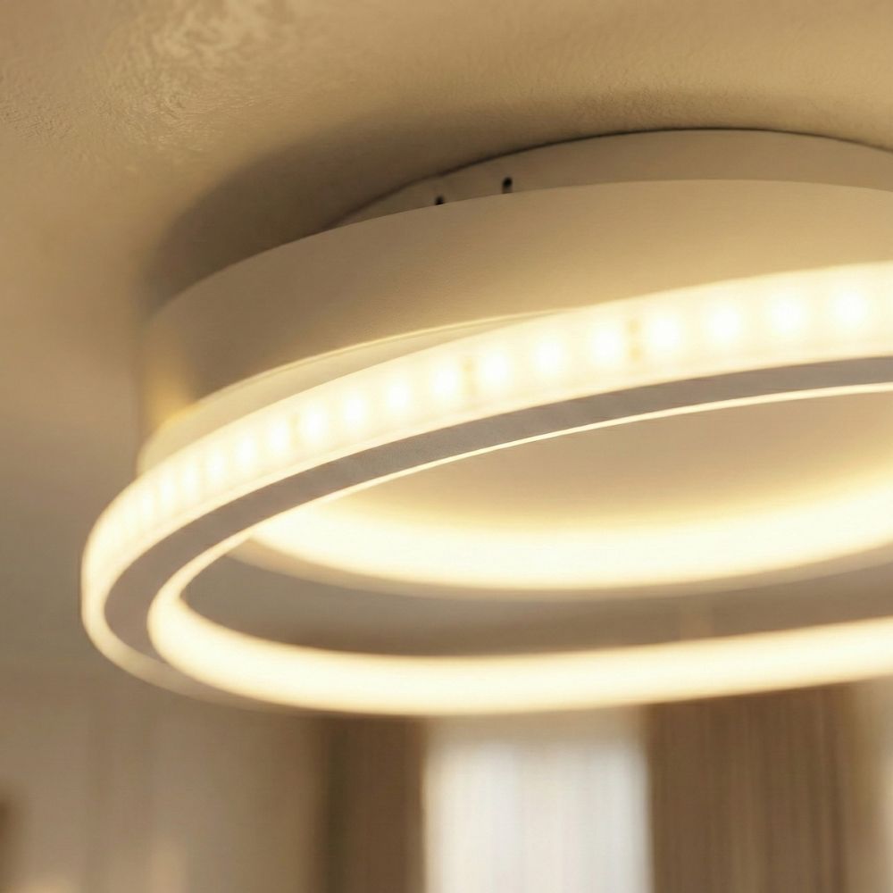 2 Ring Ceiling Light view 6
