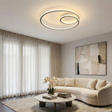 2 Ring Ceiling Light view 7