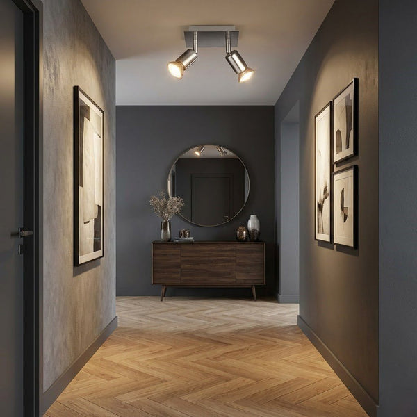 2 Spotlight Ceiling Light
