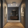 2 Spotlight Ceiling Light