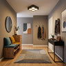 4 Spotlight Ceiling Light