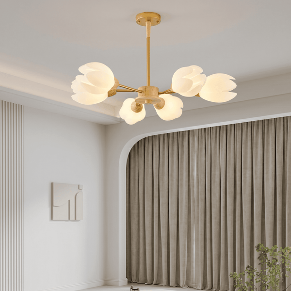 6 Light Chandelier