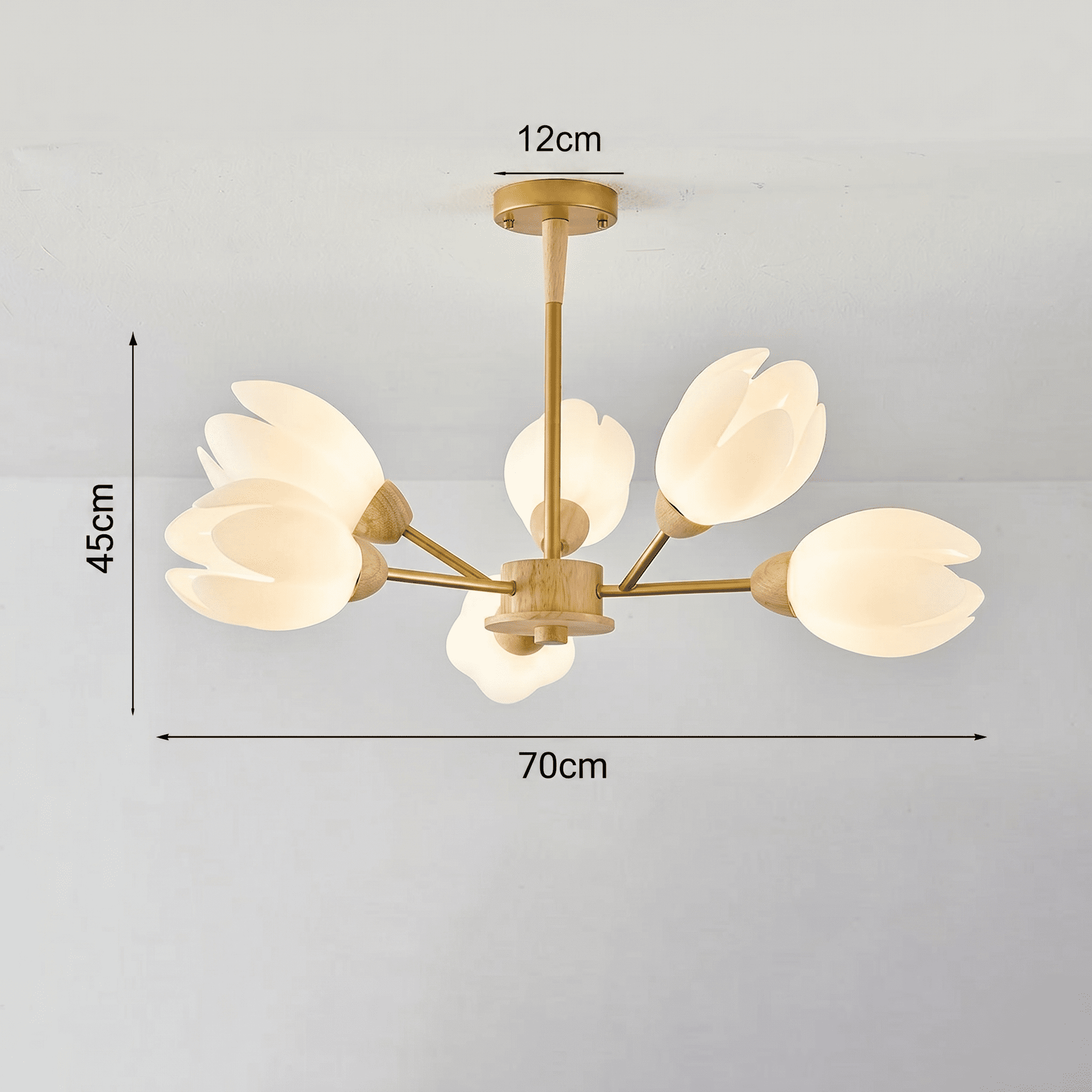 6 Light Chandelier view 3