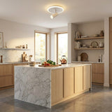 Adjustable Spotlight Ceiling view 4