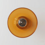 Antique Brass Ceiling Lights view 4