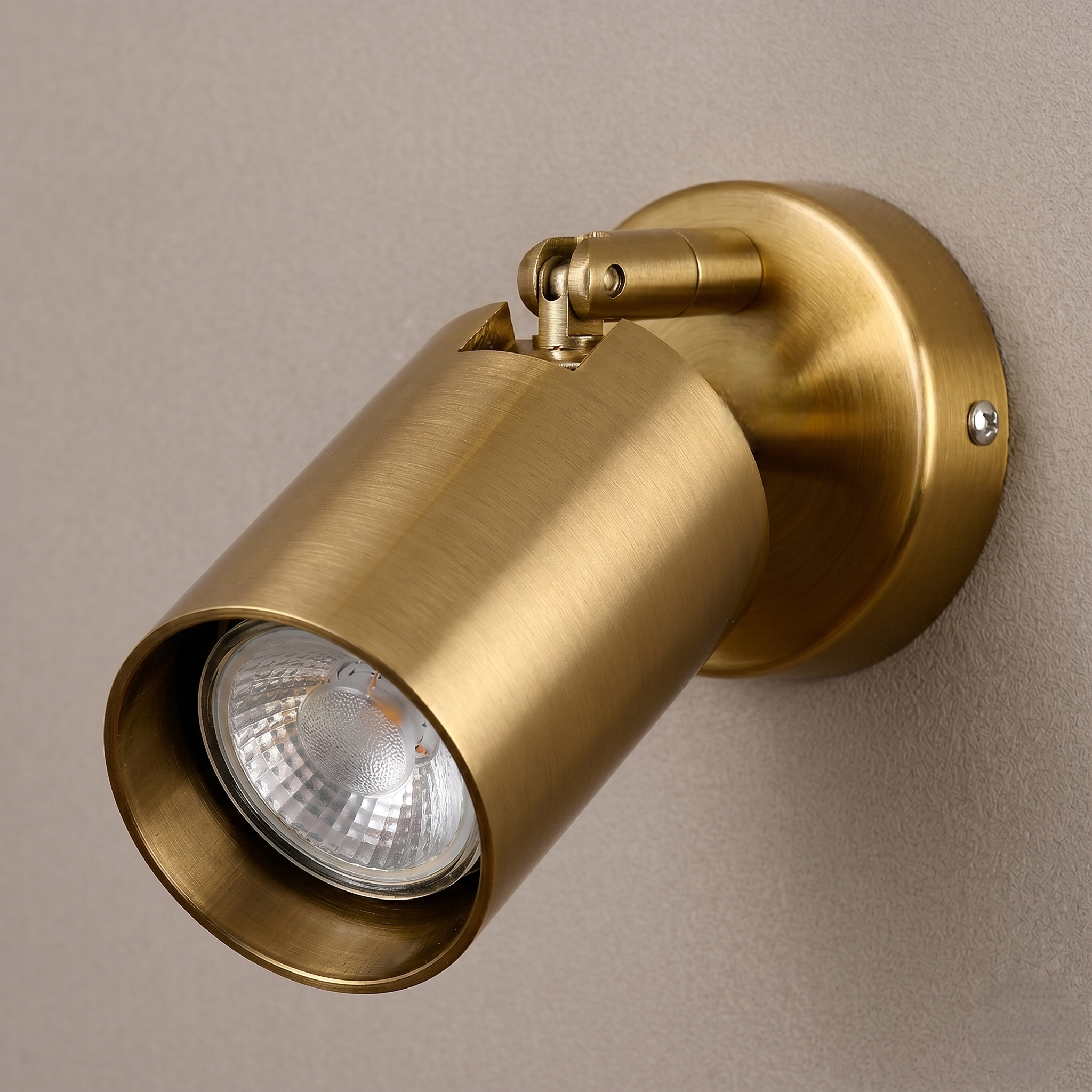 Antique Brass Ceiling Spotlight view 2
