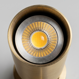 Antique Brass Ceiling Spotlight view 4