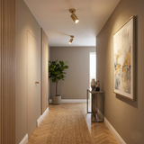 Antique Brass Ceiling Spotlight view 5