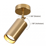Antique Brass Ceiling Spotlight view 6