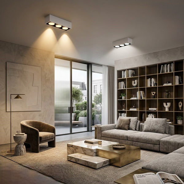 Black and White Ceiling Light