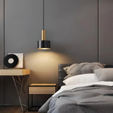 Black Brass Pendant Light view 1