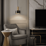 Black Brass Pendant Light view 4