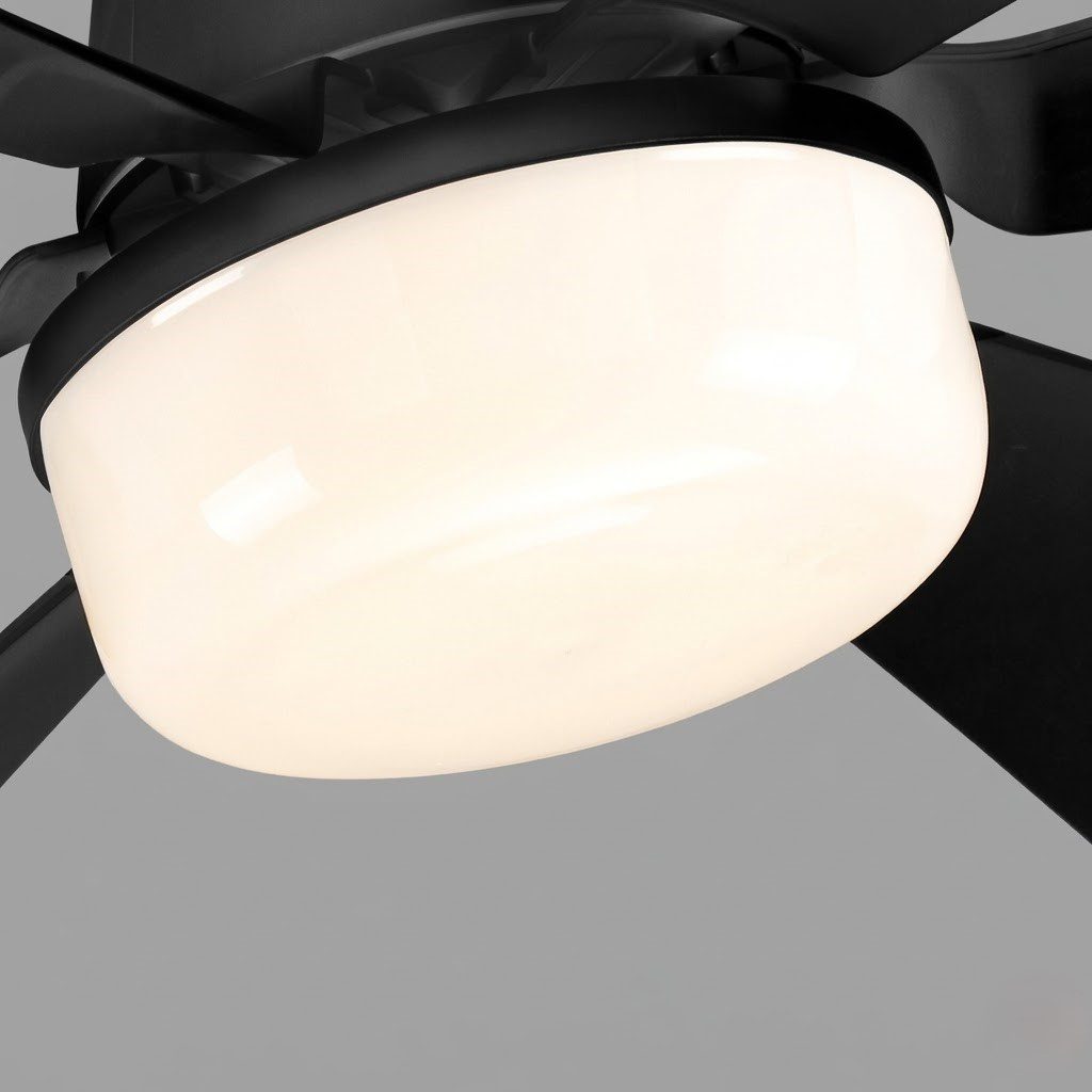 Black Ceiling Fan Light view 2
