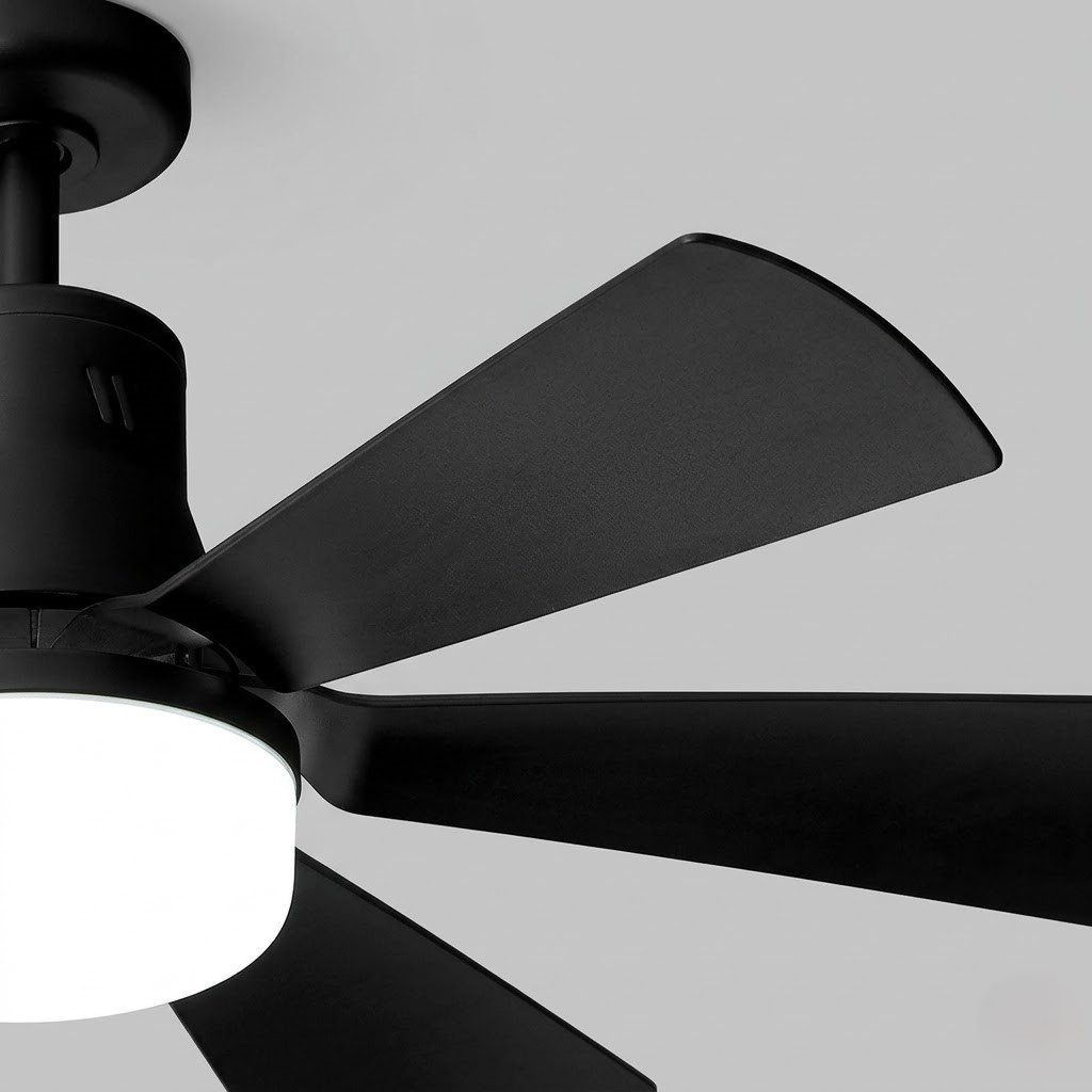Black Ceiling Fan Light view 7