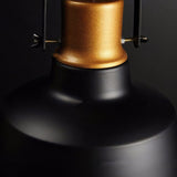 Black Gold Pendant Light view 4