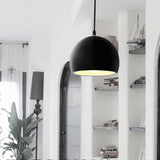 Black Metal Globe Pendant Light view 1