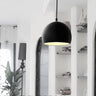 Black Metal Globe Pendant Light