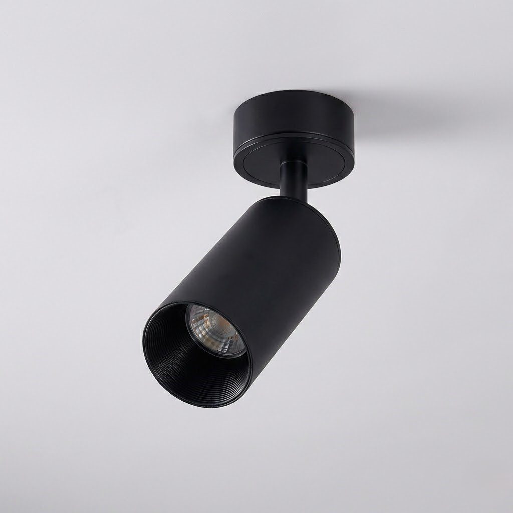 Black Spotlight view 7