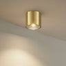 Brass Ceiling Spotlights