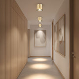 Brass Ceiling Spotlights view 4