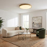 Brass Flush Ceiling Lights