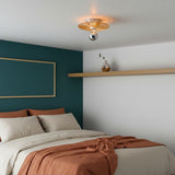 Brown Ceiling Lighting view 1