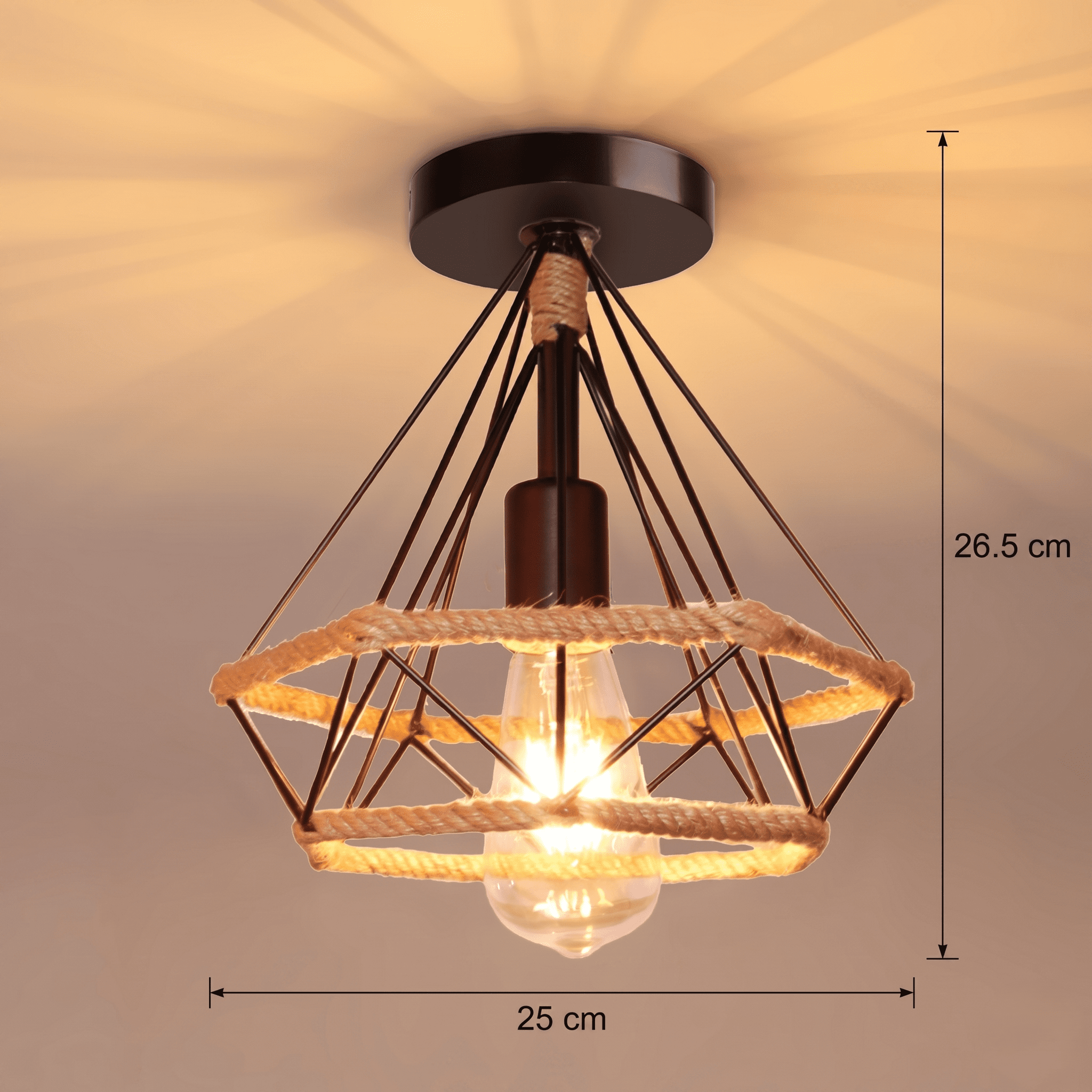 Cage Ceiling Light view 3