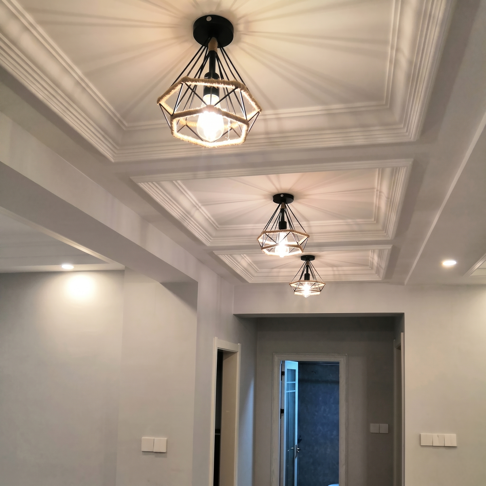 Cage Ceiling Light view 5