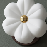 Ceiling Lights with Dimmer view 8
