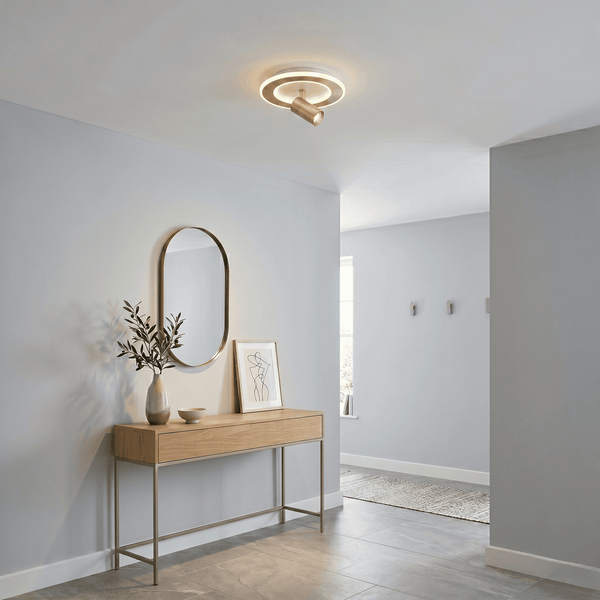 Ceiling Lights with Spotlights