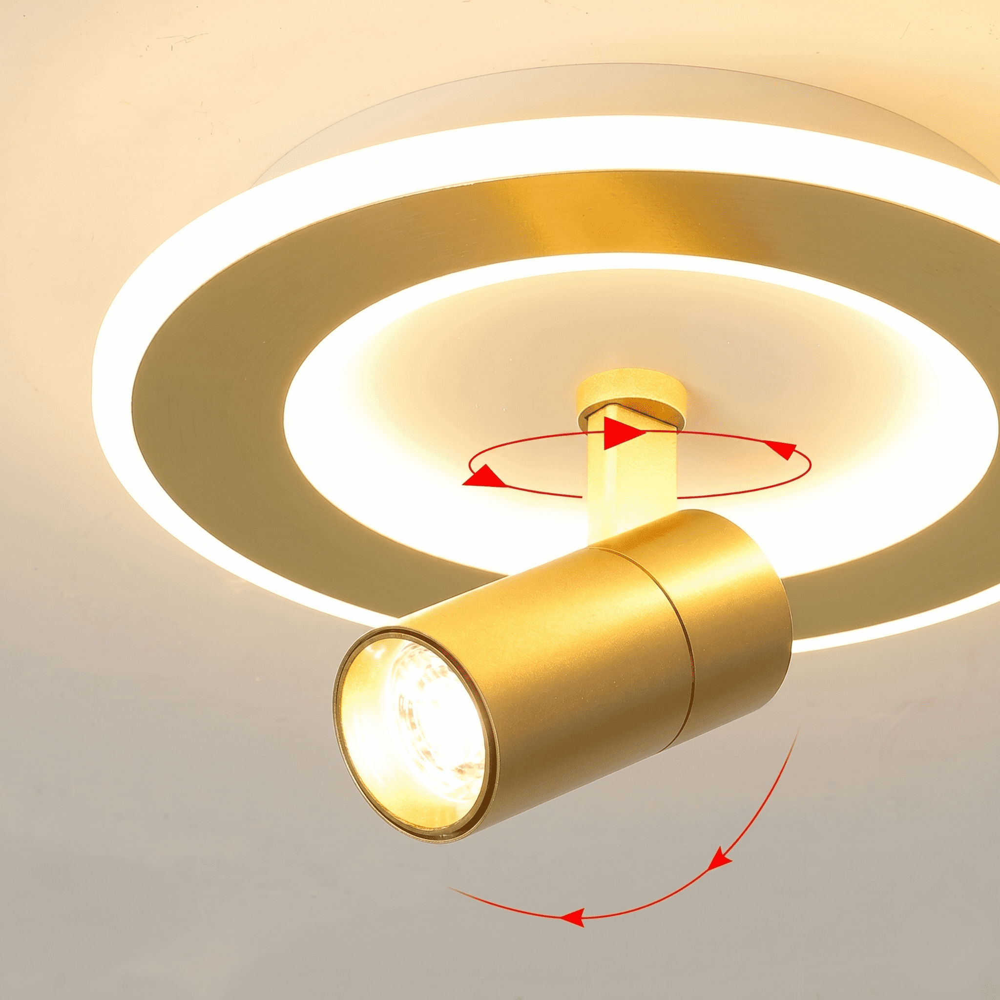 Ceiling Lights with Spotlights view 4