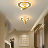 Ceiling Lights with Spotlights view 5