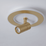Ceiling Lights with Spotlights view 6