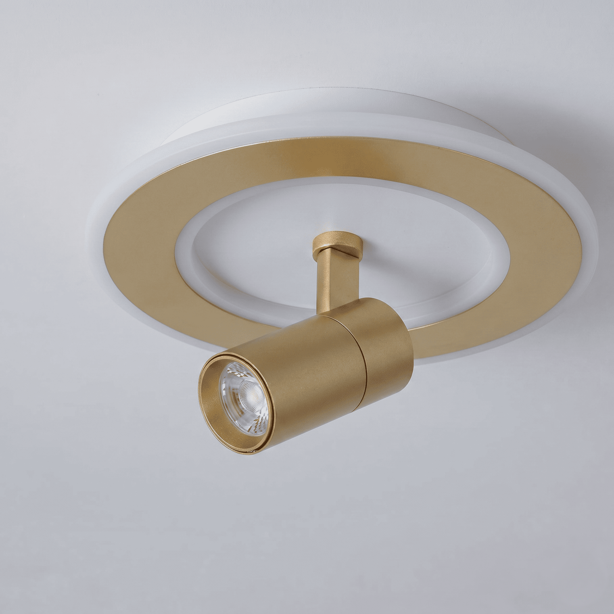 Ceiling Lights with Spotlights view 6