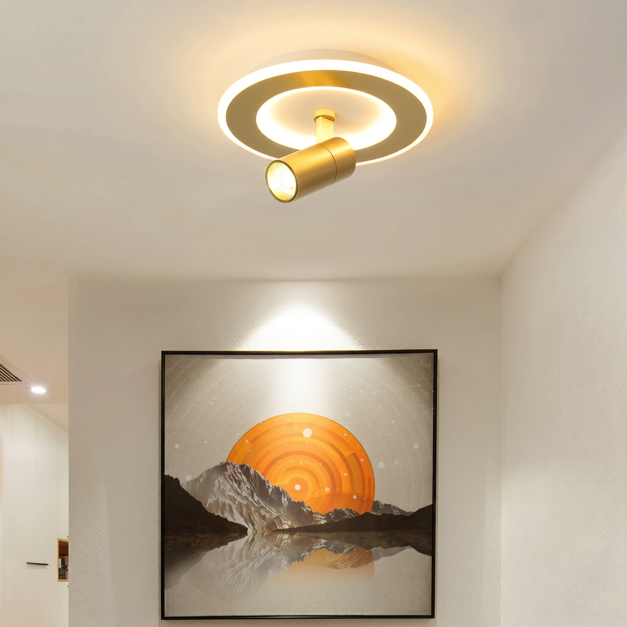 Ceiling Lights with Spotlights view 7