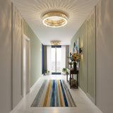 Circle Ceiling Light view 2