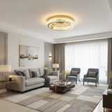 Circle Ceiling Light view 6
