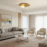 Contemporary Ceiling Light