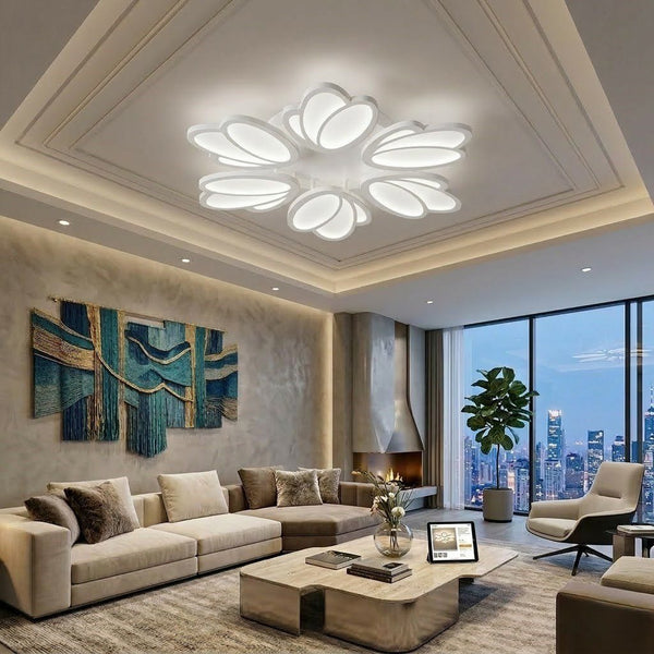 Contemporary Ceiling Light