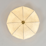 Cream Ceiling Lights view 5