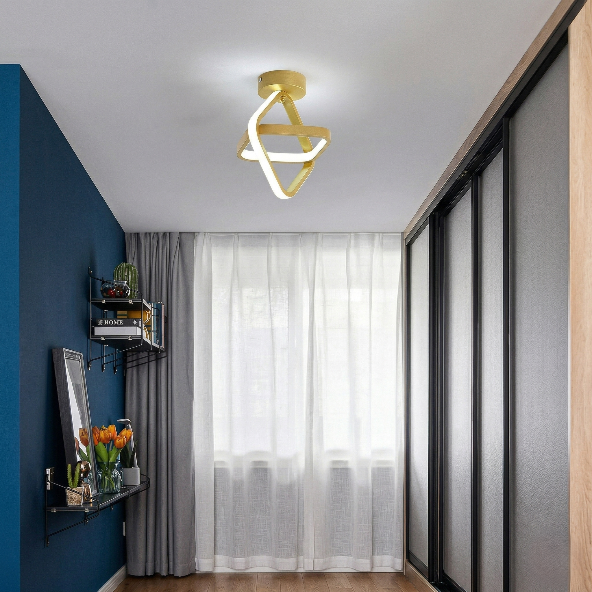 Decorative Ceiling Light view 1