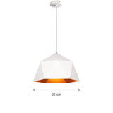 Designer Black Pendant Light view 2