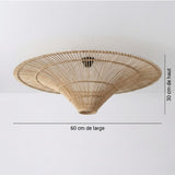 Dining Room Ceiling Light view 13